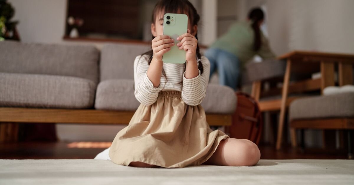 Parliament Considers Social Media Ban for Under-16s Amid Safety Concerns