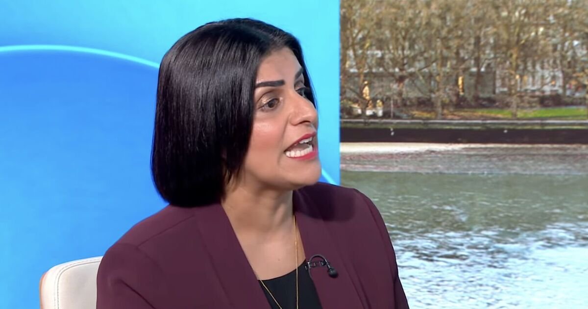 Starmer Ally Warns Labour's Rules May Hinder Burnham's MP Candidacy