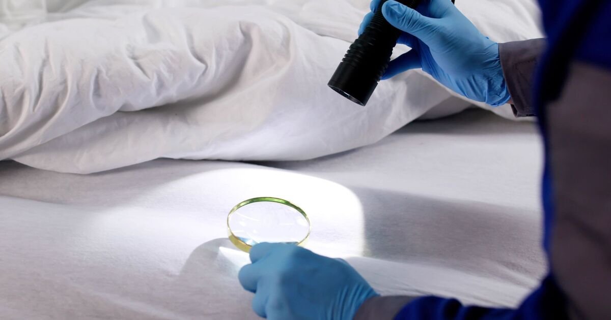 Bedbug Prevention Tips for Travelers to Avoid Home Infestations