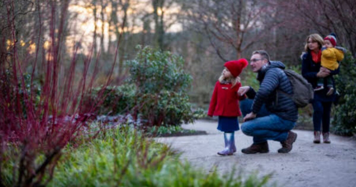 13 Picturesque Winter Walks to Enjoy at National Trust Locations