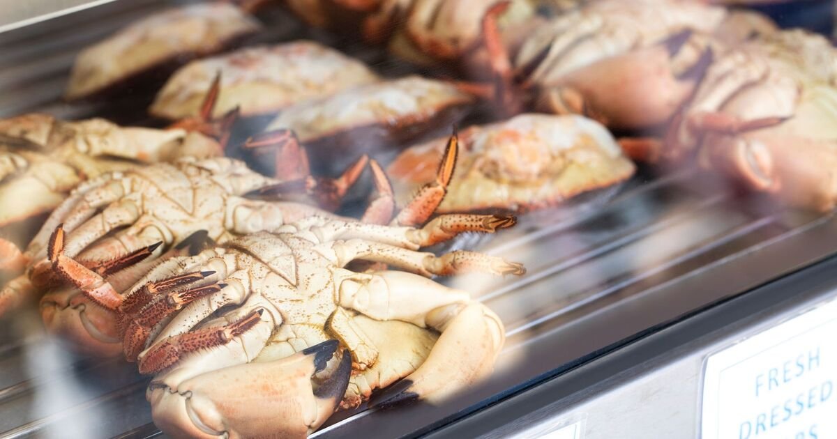 Cromer Crab Company Blames Offshore Wind Farms for Supply Crisis