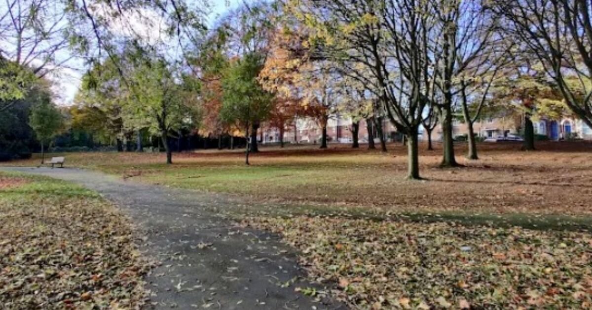 Teenage Boy Assaulted by Masked Man in Wednesbury Market Area