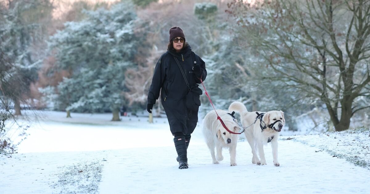 Snowfall Transforms Seven UK Counties into Picturesque Winter Scenes on December 5