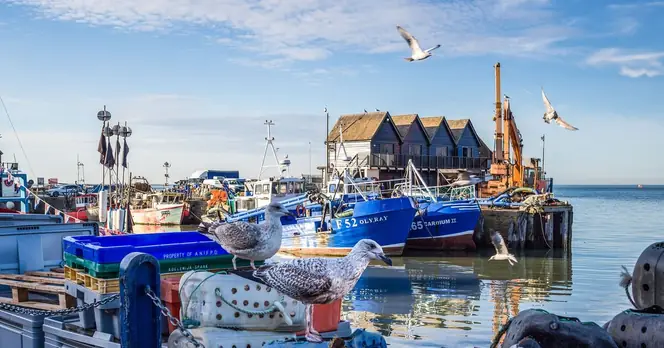 Whitstable: A Hidden Gem on the Kent Coast Rivaling Brighton's Charm