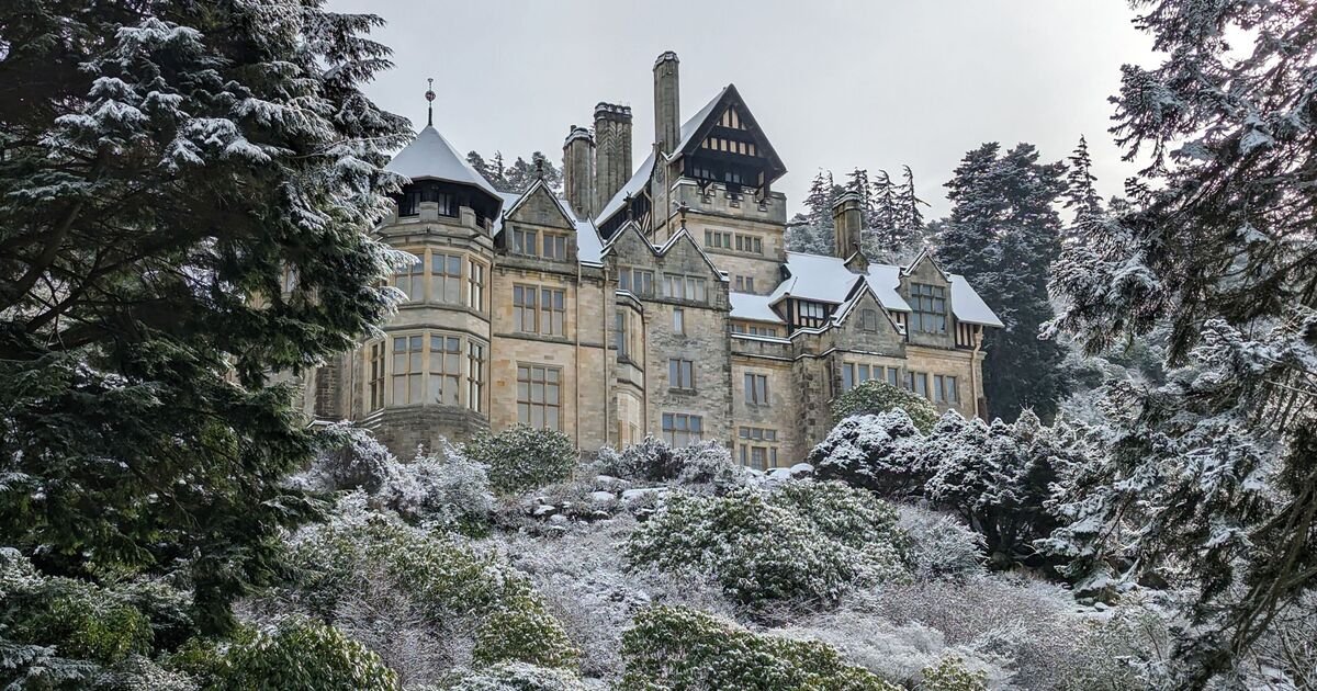 Origin of Christmas Tree Lighting Traced Back to 17th Century Tradition