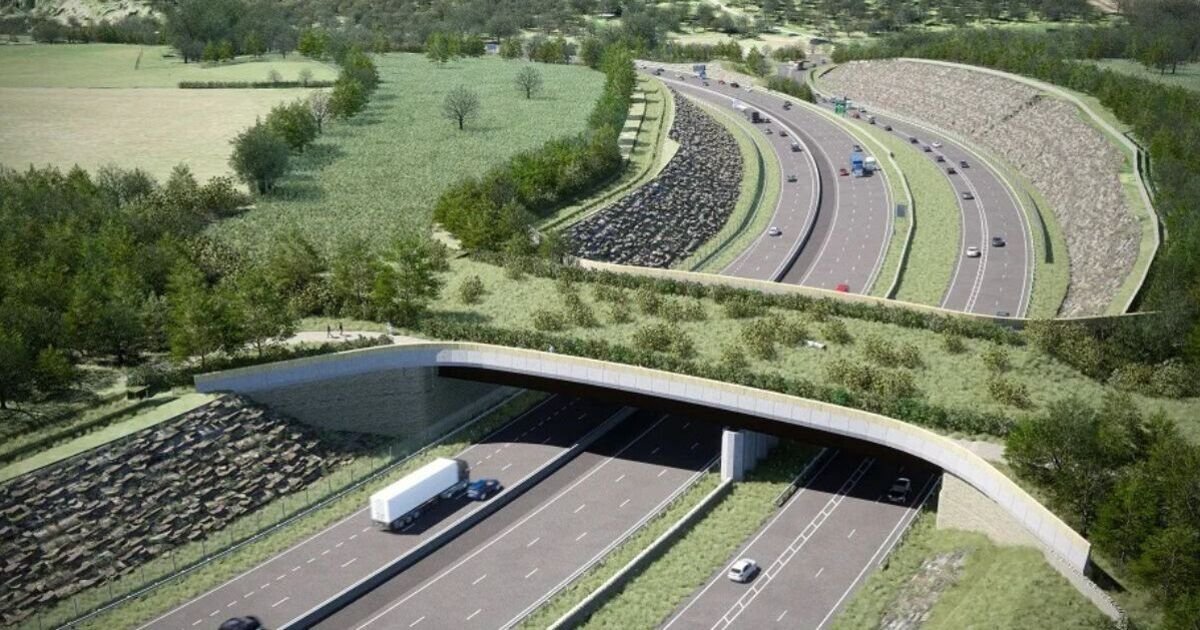 UK's Largest Wildlife Bridge Near Peterborough Set to Open After £460 Million Investment