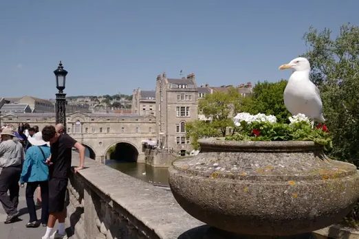 UK City Revered by Tourists for Its Unmistakable Italian Charm