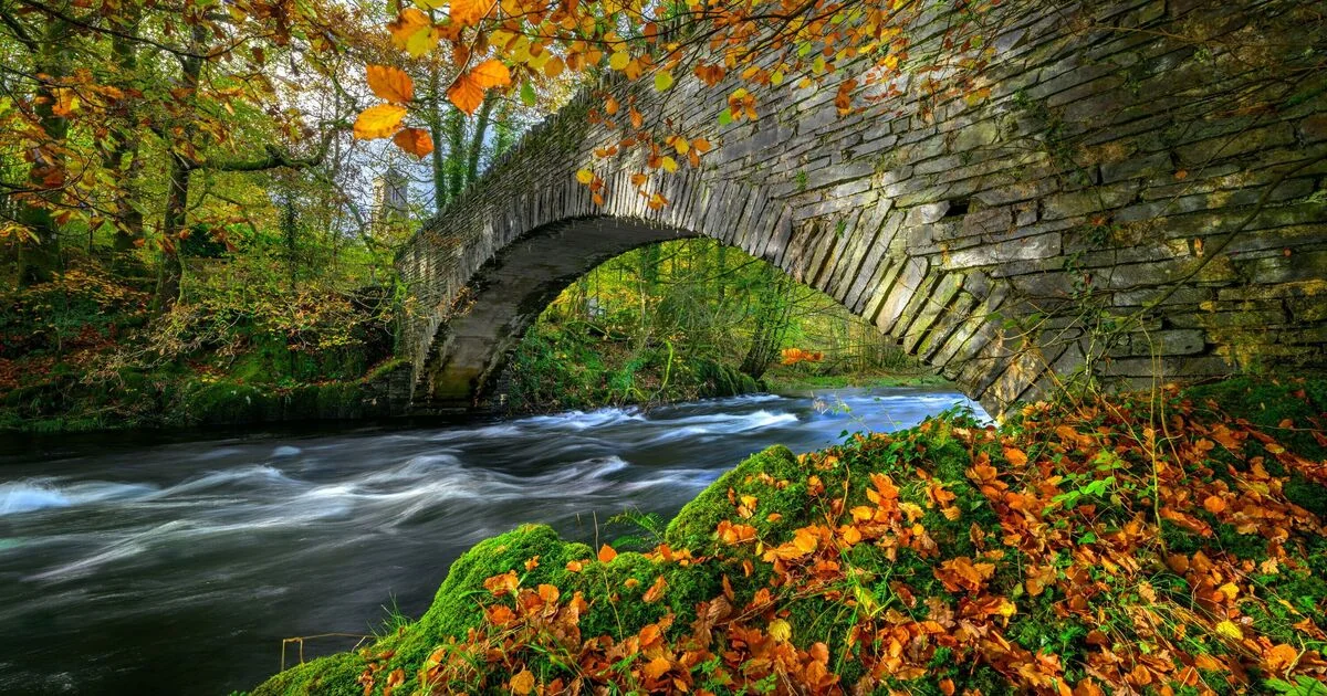 Hidden English Village Emerges as a Prime Destination for Nature Walks