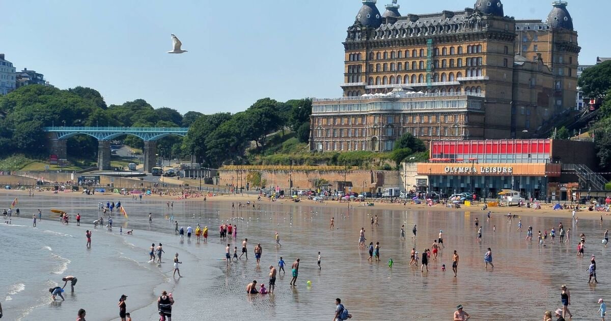 Scarborough Named UK's 'Fish and Chip Capital' with 93 Shops