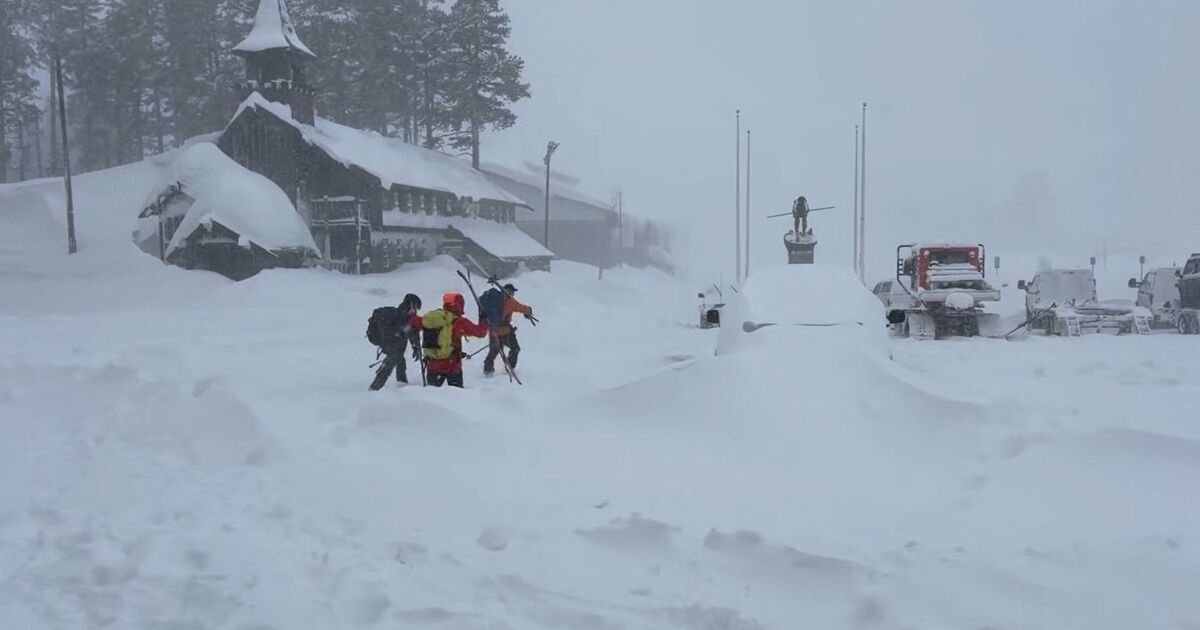 Eight Skiers Dead in California Avalanche, One Still Missing
