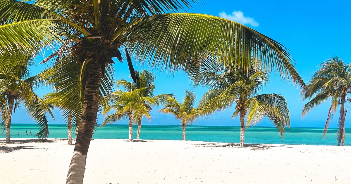 TripAdvisor Names Passion Island 'World's Best Beach' for 2026