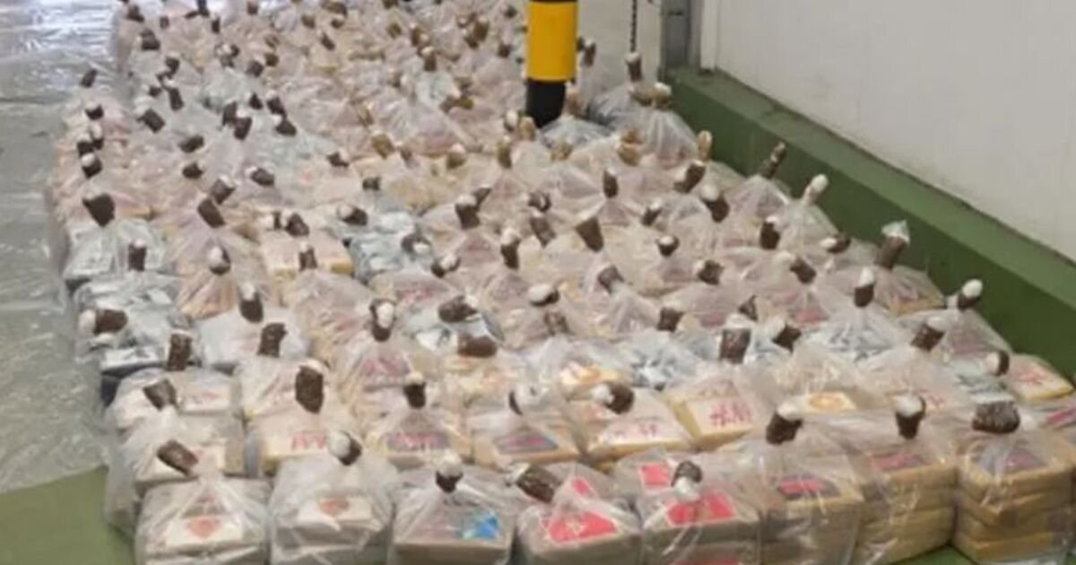 UK Drug Crisis Deepens Amid Record Cocaine Seizures in Essex