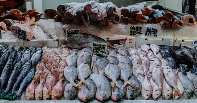 Grimsby Seafood Supplier Enters Liquidation After 30 Years of Operation