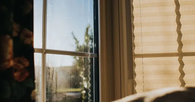 UK Residents Advised to Close Windows at Night Due to Rising Pollen Levels This Weekend