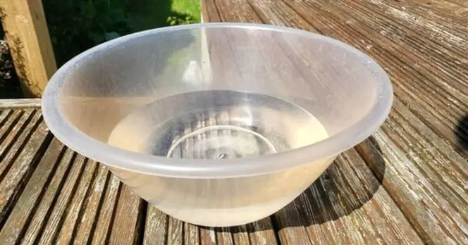 UK Residents Encouraged to Provide Water for Wildlife During Heatwave
