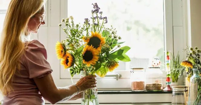 UK Households Advised to Remove Indoor Flowers Ahead of Cold Weather Forecast