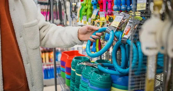 Long-standing UK pet shop enters administration after 27 years of service