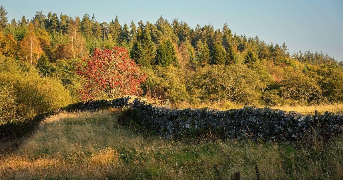 Kielder Water and Forest Park: A Hidden Gem for Outdoor Enthusiasts