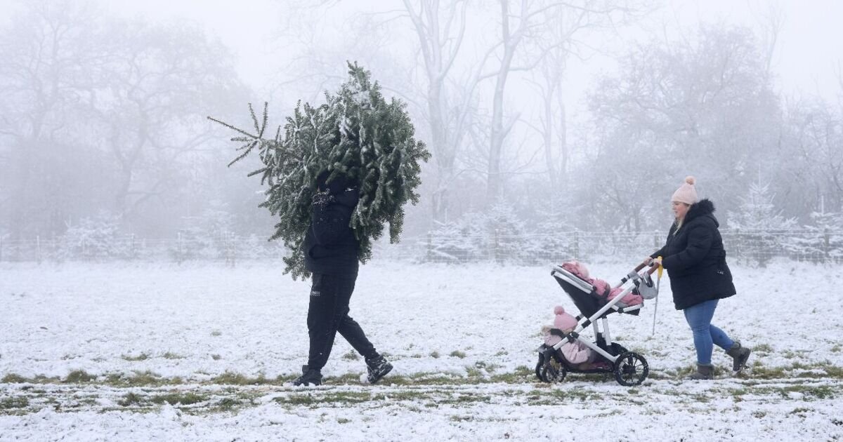 Snow Is Forecast for Four UK Counties This Christmas Day