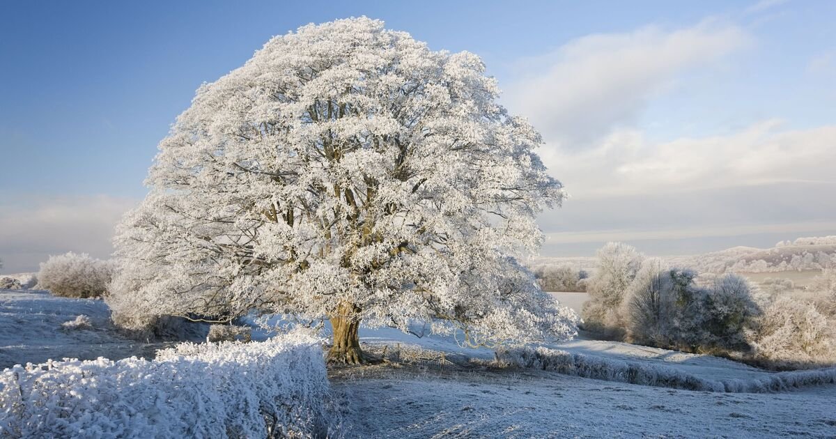 UK Snowfall Covers 403 Miles, Impacts 50 Counties on March 11