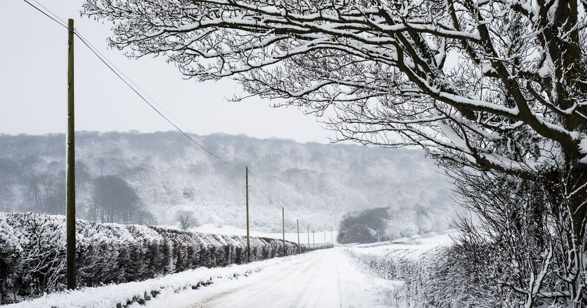 UK Faces -8C Blizzards with 19 Regions Under Weather Warning