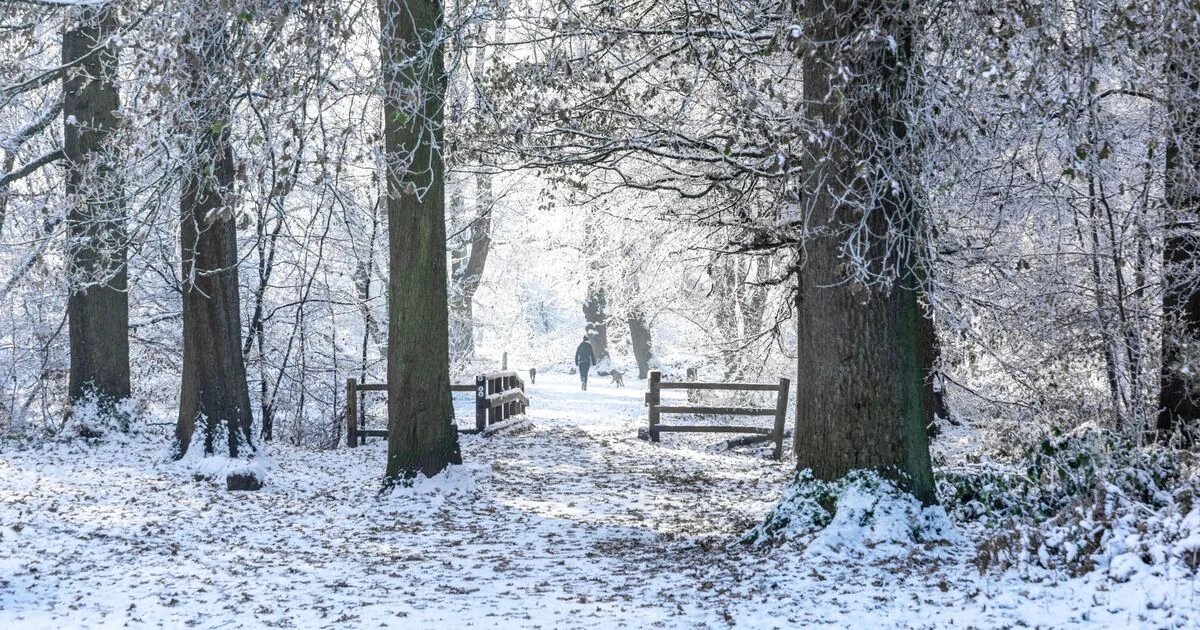 UK Snow Forecast: -4C Temperatures and Blizzards Expected in 22 Areas