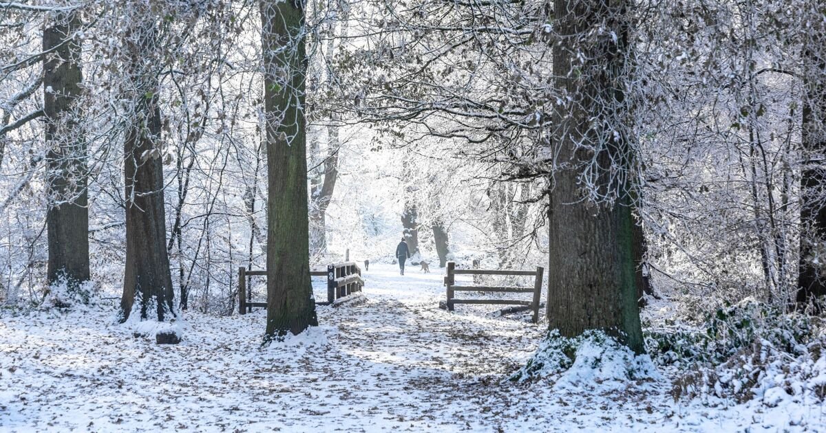 Heavy Snow Expected Across the UK, Affecting Cornwall, Essex, and Sussex