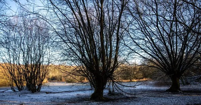 UK Weather Set for 10C Drop Following Unseasonably Warm April