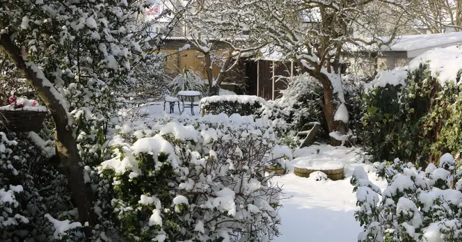 UK Set for 42 Hours of Snow from Tuesday, Warnings Issued for Travel Disruptions