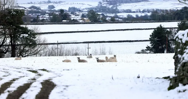 UK Weather Warning: Major Snowfall Forecast for 12 Cities Amid -9C Freeze
