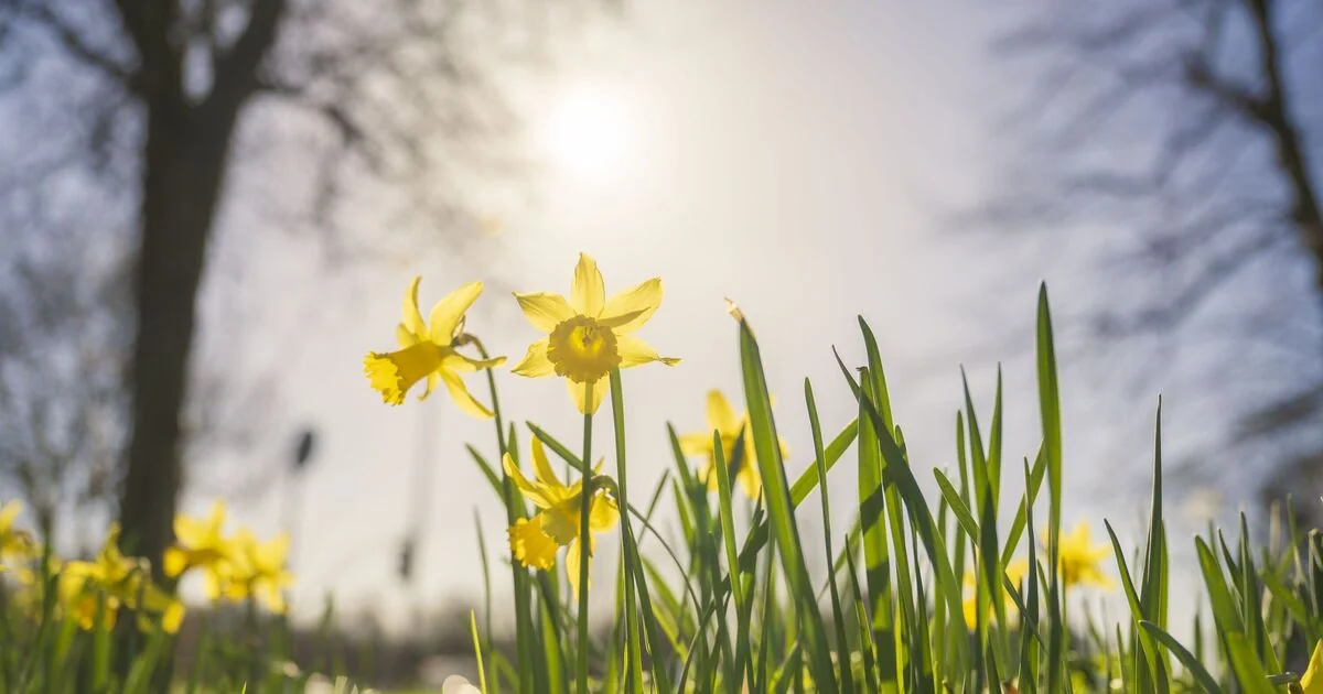 Warm Weather Front from Spain to Bring 18C Temperatures to UK