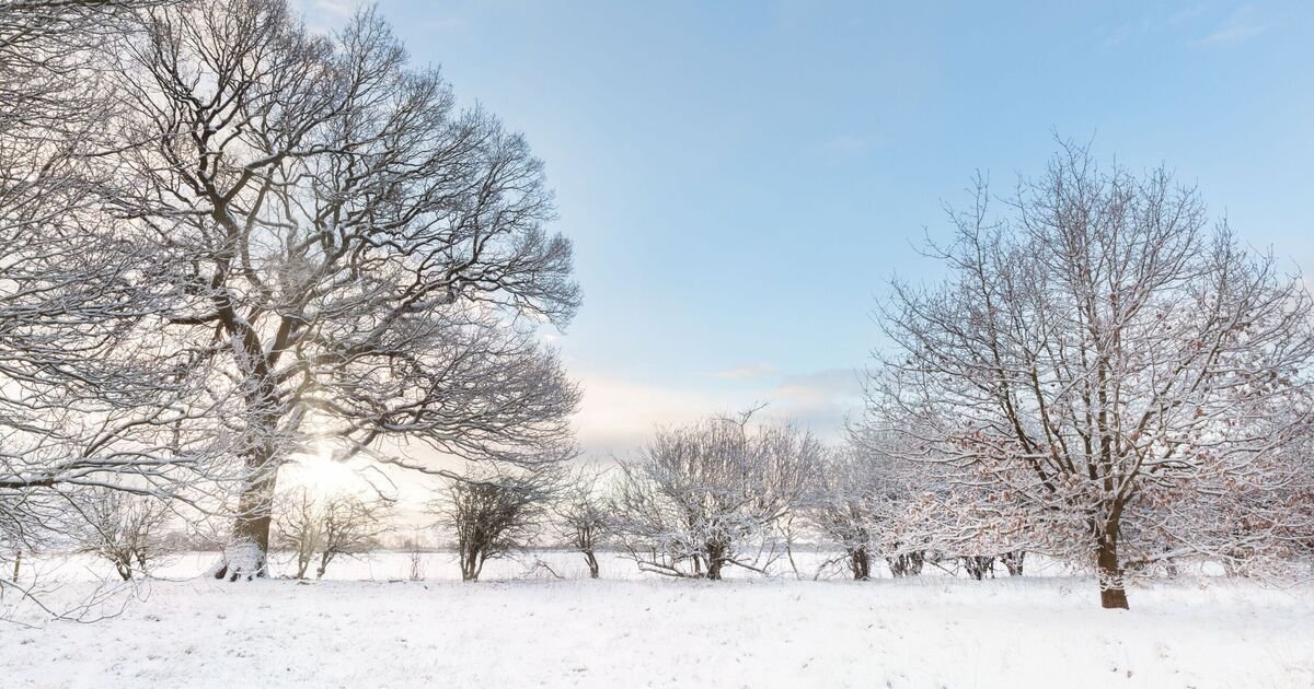 UK Snowfall Forecast for 14 February: 83 Counties Affected by Up to 55cm