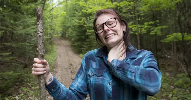 UK Health Security Agency Warns of Increased Tick Bites During Easter Holiday, Advises Precautions for Outdoor Activities