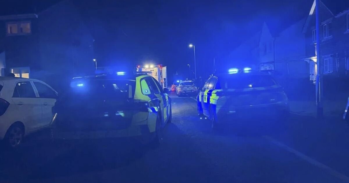 Christmas Day Incident Disrupts Peaceful Celebrations in Local Village