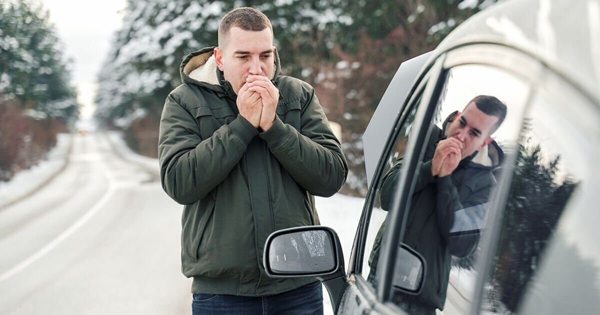 Winter Vehicle Parking Warnings: Avoid Roadsides and Trees to Prevent Damage