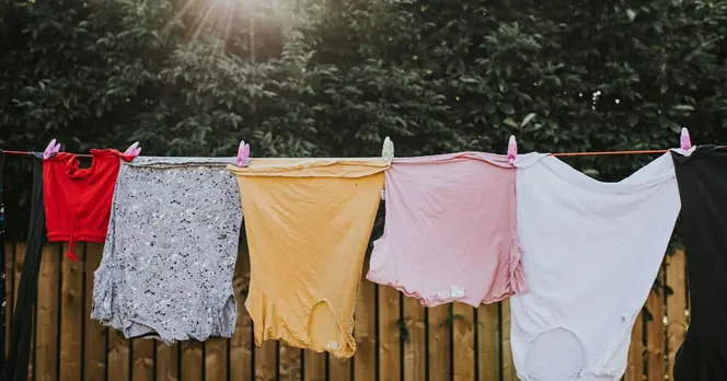 High Pollen Counts Warn Households to Avoid Outdoor Laundry This Weekend