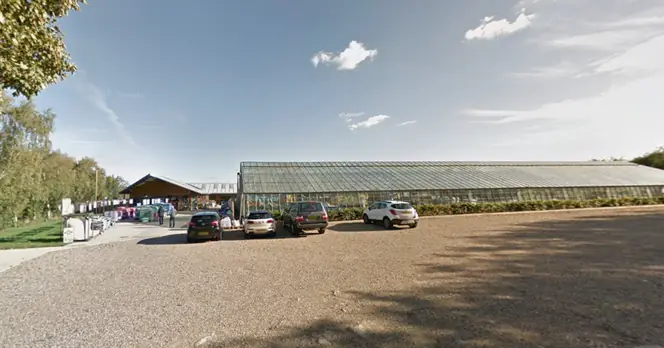 Sturmer Garden Centre For Sale at £2 Million Amid Operational Challenges