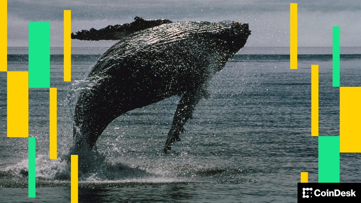 'White Whale' Memecoin Plunges 60% After $1.3 Million Sell-Off