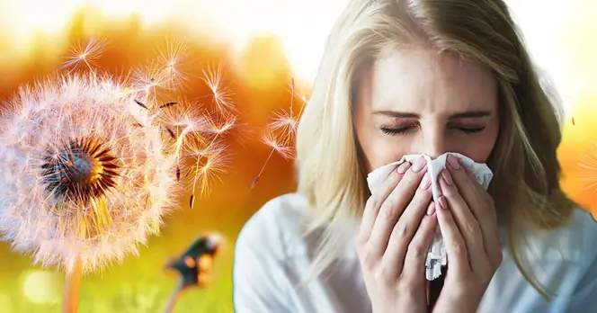 Hay Fever Season Now Lasts Longer Due to Climate Change, Study Reveals