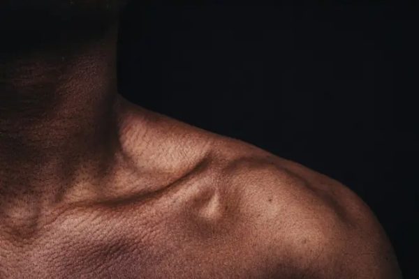 Essential Bodyweight Exercises for Strength, Muscle Growth, and Longevity: Focus on Push-Ups, Rows, and Squats