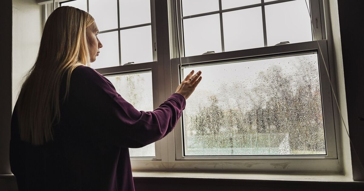 Use a £1 Household Item to Reduce Window Condensation and Humidity