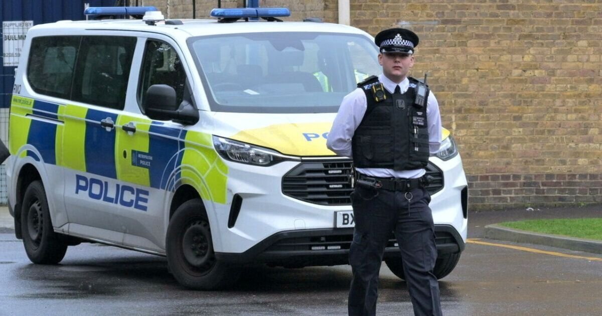 Witnesses Claim Attacker Shouted 'Allahu Akbar' During Brent School Stabbing