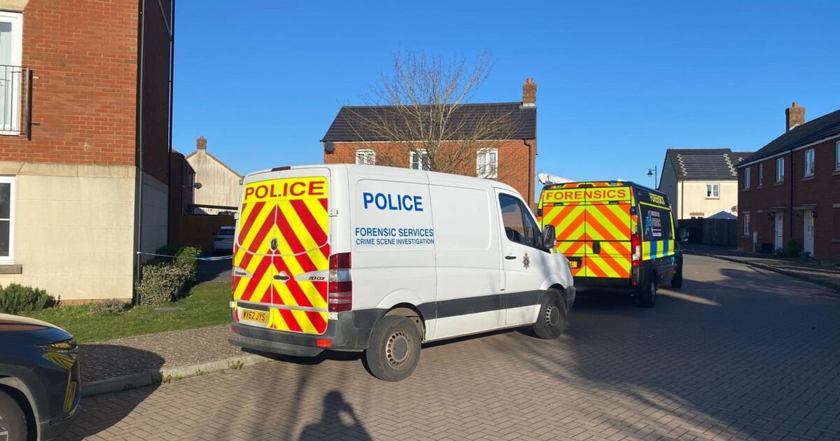 Elderly Woman Dies After Christmas Day Assault in Devizes