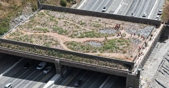 World's Largest Wildlife Bridge to Open Soon After £84.5 Million Construction